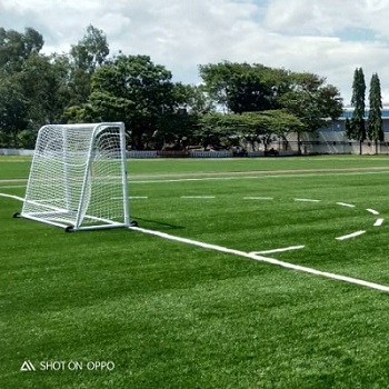 Artificial Turf